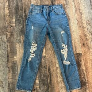 Wild Fable High Rise Mom Jean Size 2